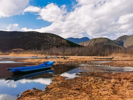 Winning Casino Mobilapp